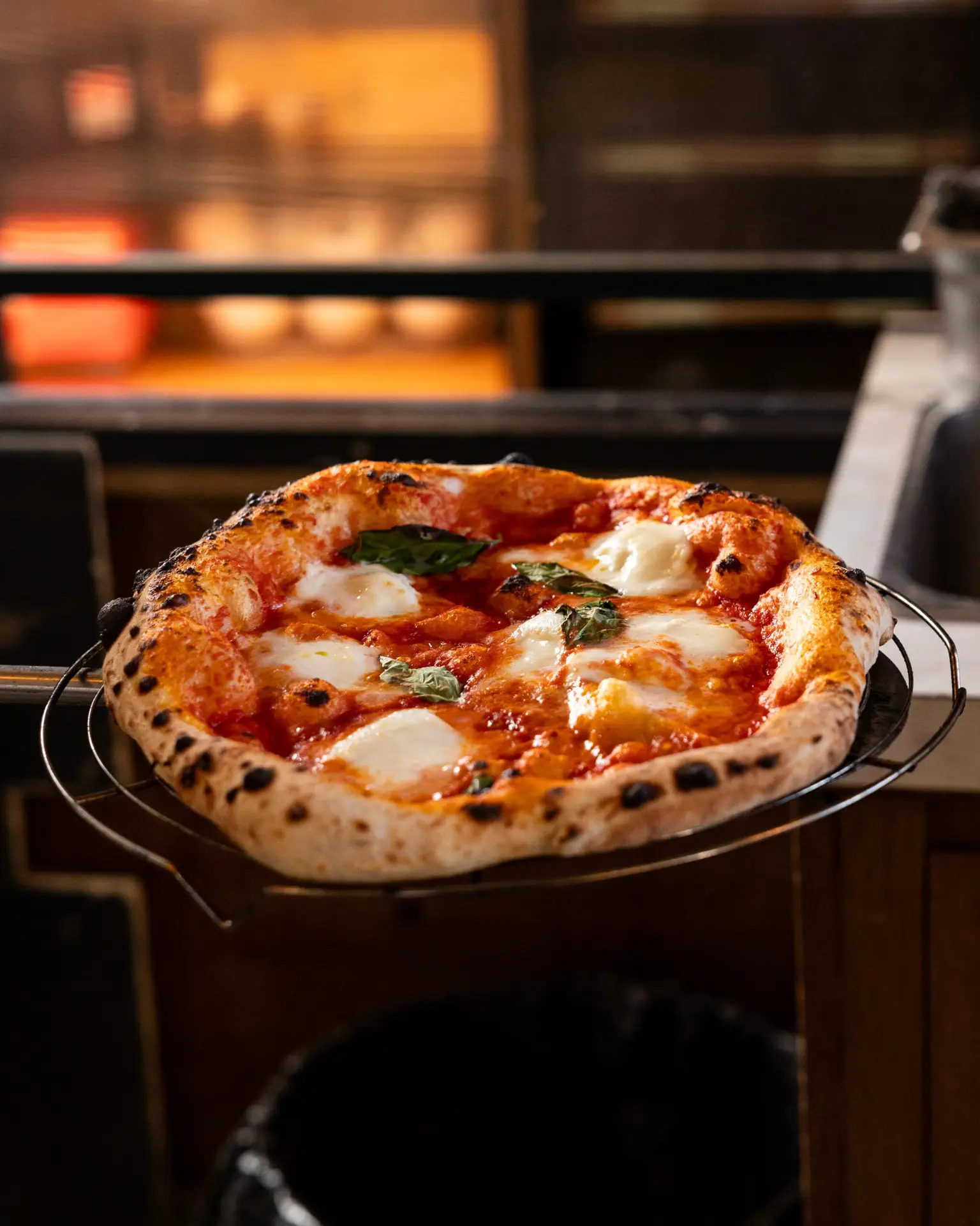 Pizza mit Mozzarella und Basilikum